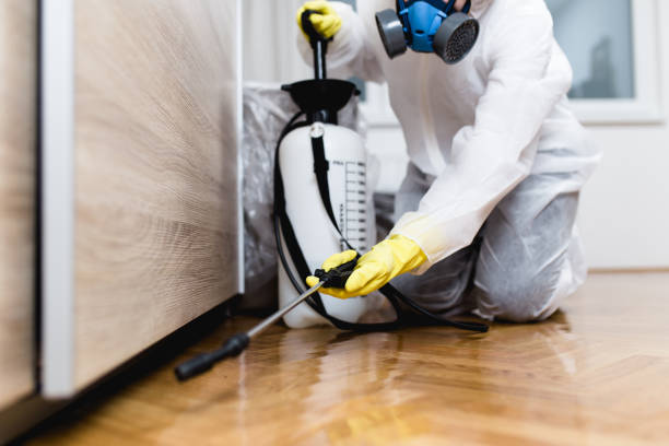 Best Mosquito Control Services  in Polk City, IA