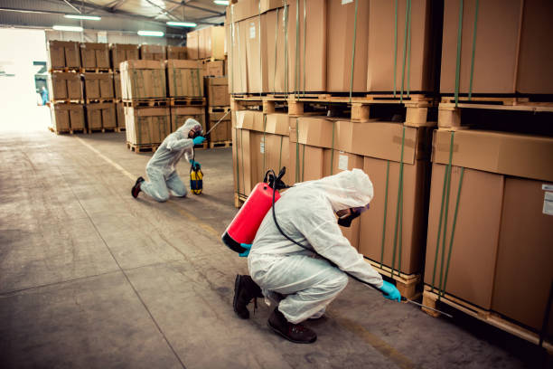 Best Pest Removal Services  in Polk City, IA