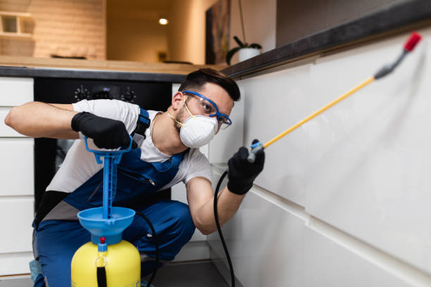 Best Best Pest Control Companies  in Polk City, IA