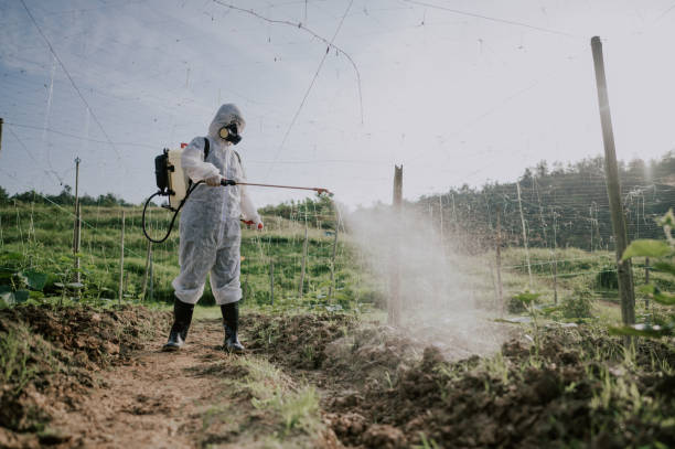 Best Ant Control Services  in Polk City, IA