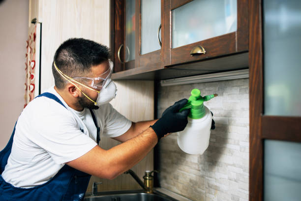 Best Pest Control for Businesses  in Polk City, IA