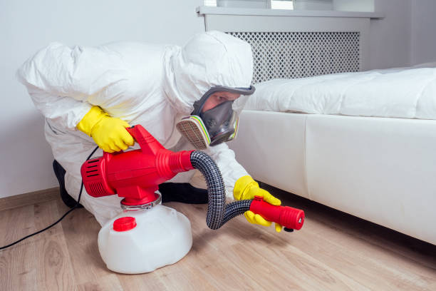 Best Flea Control Services  in Polk City, IA