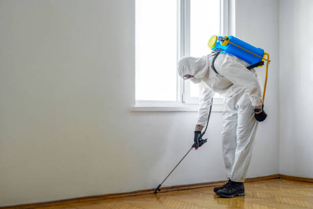Reliable Polk City, IA Pest Control Solutions