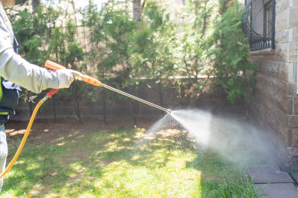 Best Insect Control  in Polk City, IA