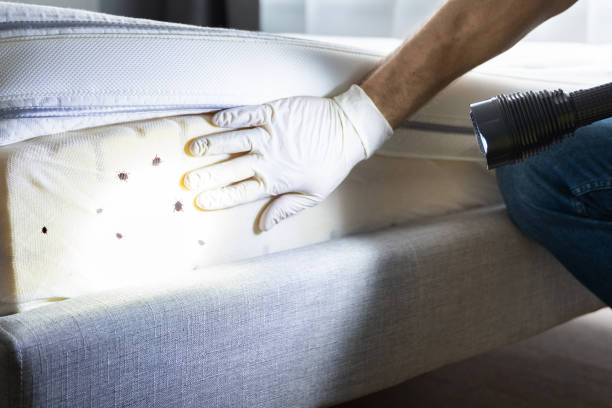 Best Emergency Pest Control  in Polk City, IA