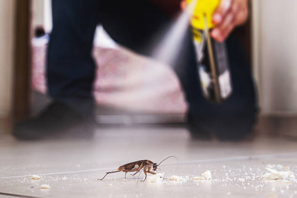 Best Best Pest Control Companies  in Polk City, IA