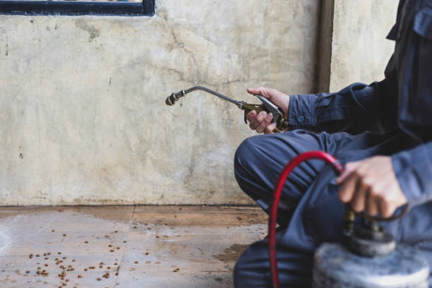 Best Pest Inspection Near Me  in Polk City, IA